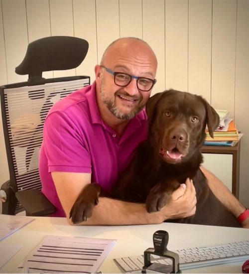 david